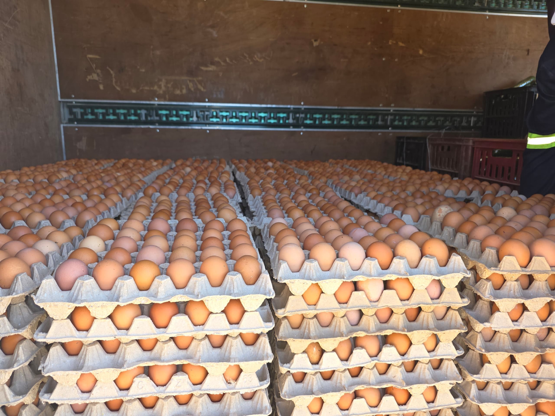 Eggs